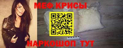 индика Кингисепп
