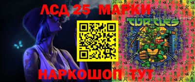 индика Кингисепп