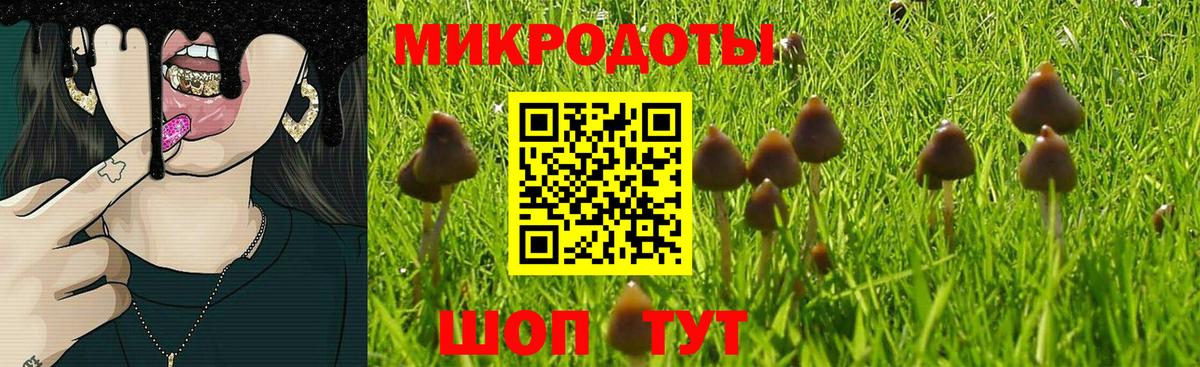 Кулебаки  Галлюциногенные грибы мицелий  Вход с VPN 