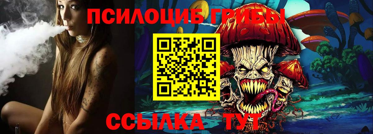 Псилоцибиновые грибы MAGIC MUSHROOMS Кулебаки